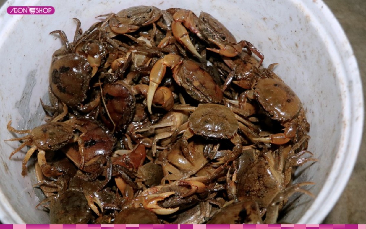 Cách chọn cua đồng