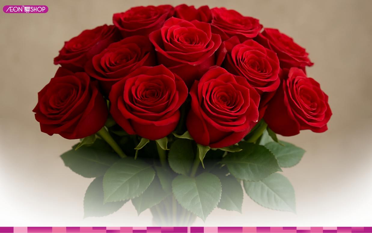 Nên tặng hoa gì ngày 8/3? 20 mẫu hoa tươi đẹp chúc mừng ngày 8/3