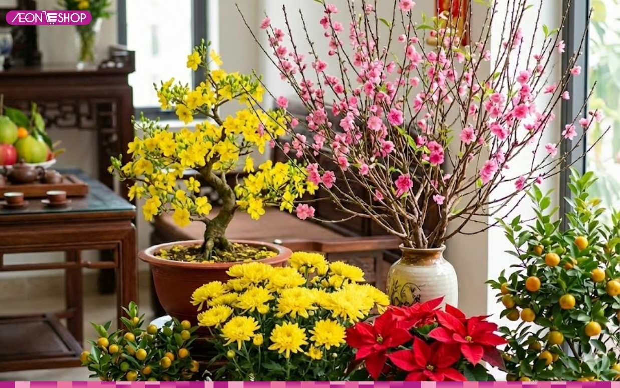 Top 15 loại hoa Tết đẹp không thể thiếu trong ngày Tết